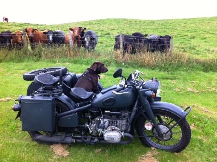 cj750 photos M1S ohv 12V sidecar cows