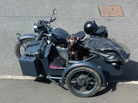 cj750 photos sidecar dog overhead valve