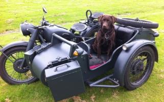 military themed CJ sidecar dog ohv cj 750 photo